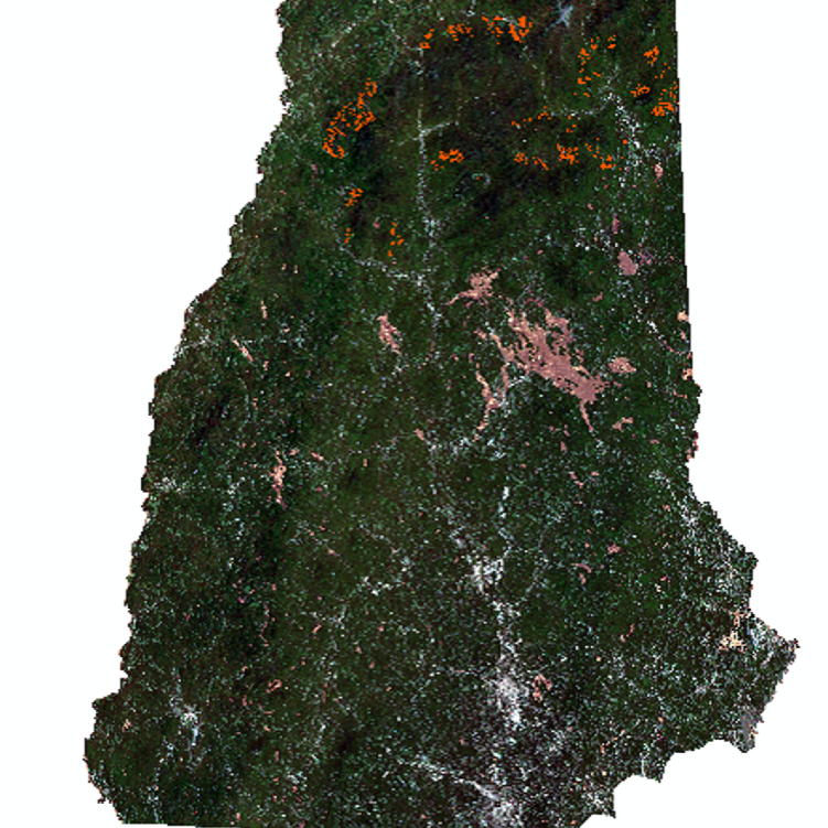 satellite map of new hampshire forest