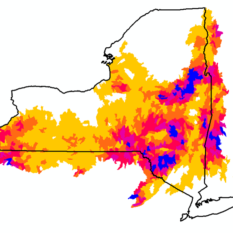 outline of New York state with heat map