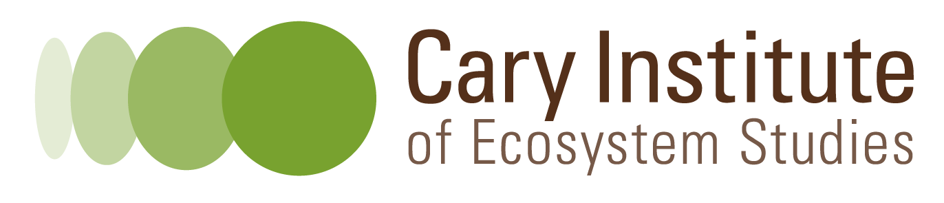 Main page image for Soil carbon and nitrogen plot means