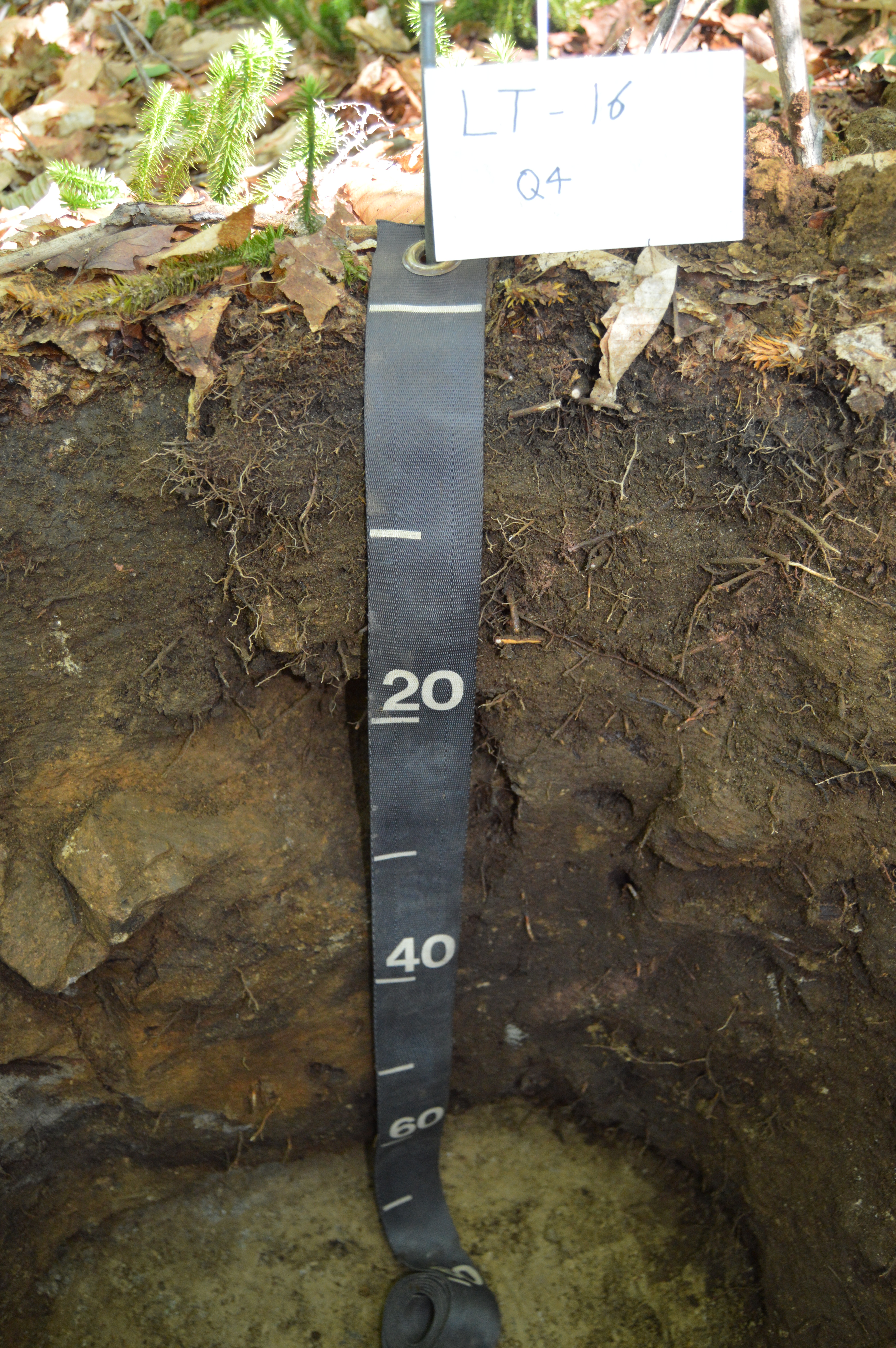 Main page image for Soil Sampling Identifying Information