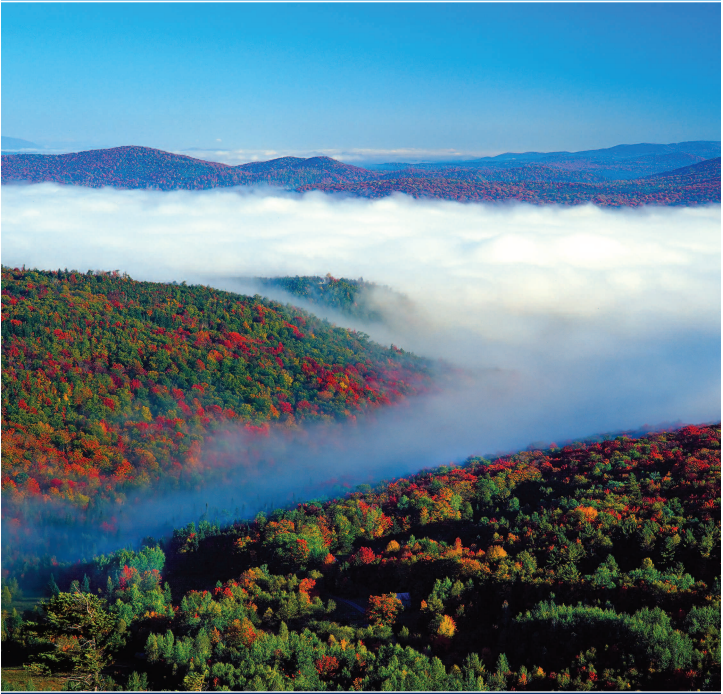 Thumbnail for From the Adirondacks to Acadia: a wildlands network design for the greater northern Appalachians