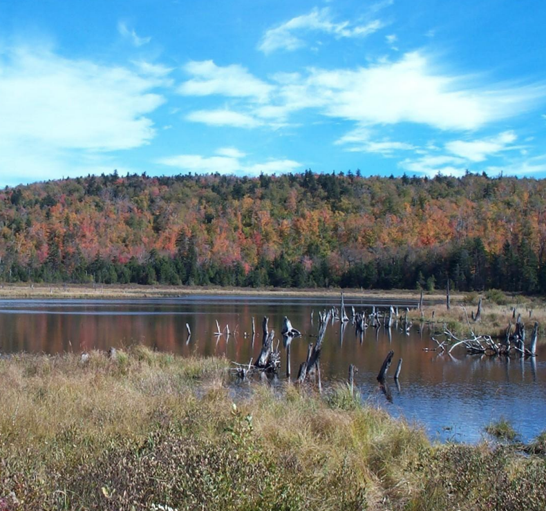 Thumbnail for New Hampshire Forest Resource Strategies