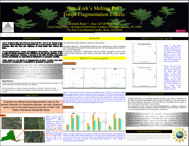 Thumbnail for New York's melting pot: forest fragmentation effects