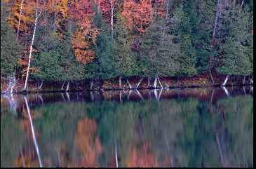 Thumbnail for Northern Rivers Land Trust