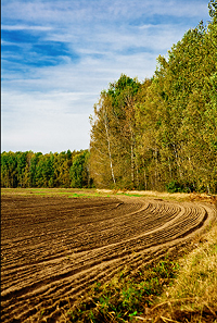 Thumbnail for Climate Change - Good News and Bad News about Forest Fragmentation