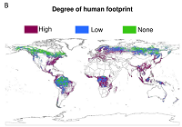 Thumbnail for The exceptional value of intact forest ecosystems