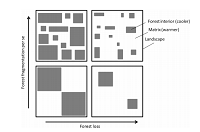 Thumbnail for Does forest fragmentation cause an increase in forest temperature?