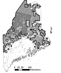 Thumbnail for Ineffectiveness of local zoning to reduce regional loss and fragmentation of wintering habitat for white-tailed deer