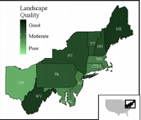 Thumbnail for The shape of density dependence in fragmented landscapes explains an inverse buffer effect in a migratory songbird