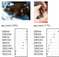 Thumbnail for Effects of Suburbanizing Landscapes on Reproductive Effort of Vernal Pool-Breeding Amphibians