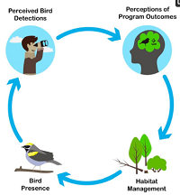 Thumbnail for Early Successional Forest Management on Private Lands as a Coupled Human and Natural System