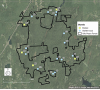 Thumbnail for Two salamander species respond differently to timber harvests in a managed New England forest