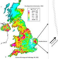 Thumbnail for Nutrient and carbon cycling along nitrogen deposition gradients in broadleaf and conifer forest stands in the east of England