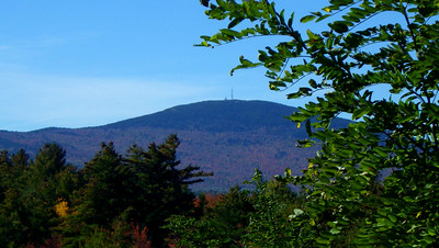 Thumbnail for Forest harvesting and land-use conversion over two decades in Massachusetts