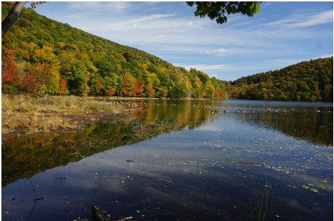 Thumbnail for Rapid Assessment of New Conservation Science in the Northern Appalachian-Acadian Ecoregion