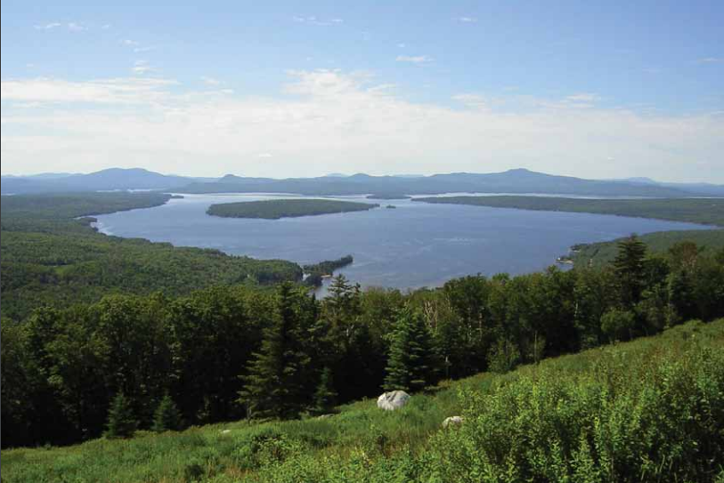 Thumbnail for Climate Change and Biodiversity in Maine: Vulnerability of Habitats and Priority Species