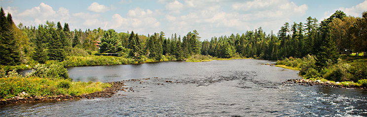 Thumbnail for National Association of State Foresters, Forest Action Plan, Maine