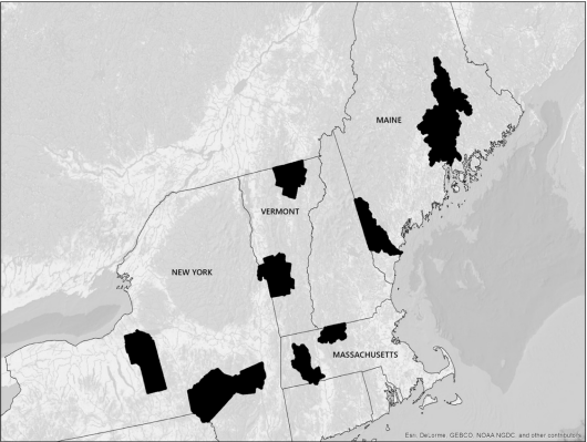 Thumbnail for Estate Planning as a Forest Stewardship Tool: A Study of Family Land Ownerships in the Northeastern U.S.