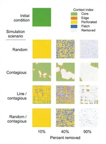 Thumbnail for Hot Spots of Perforated Forest in the Eastern United States