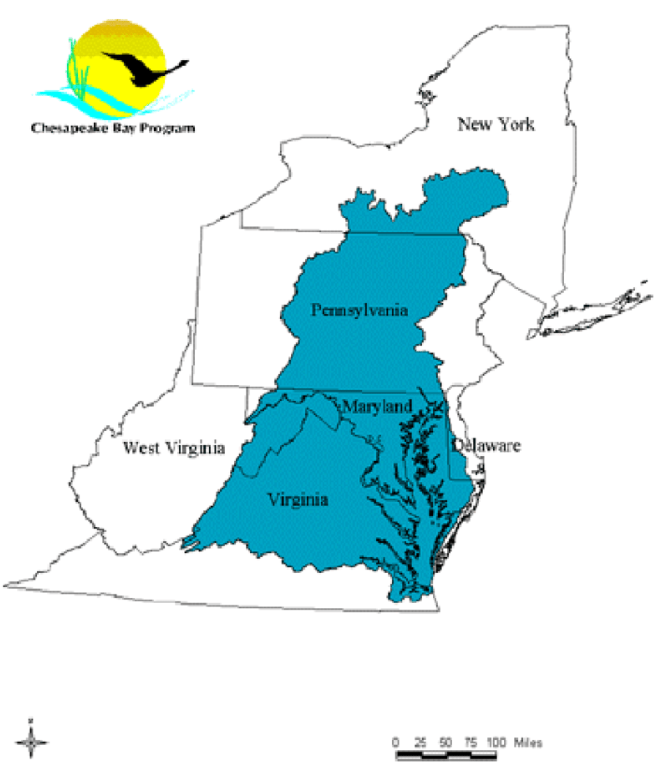 Thumbnail for Parcelization in the Chesapeake Bay Watershed and Implications for Sustainable Forestry