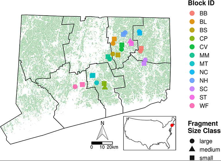 Thumbnail for Bottom-Up and Top-Down Effects of Forest Fragmentation Differ Between Dietary Generalist and Specialist Caterpillars