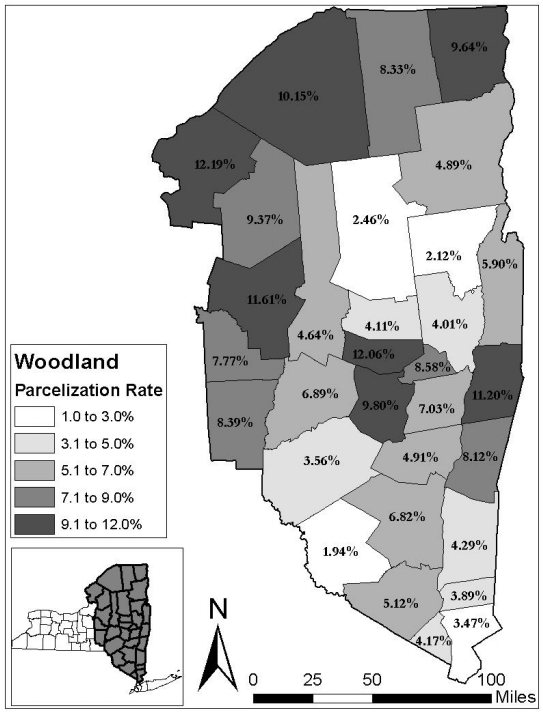 Thumbnail for Private Forestland Parcelization In New York: Patterns, Drivers, And Effects