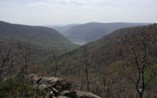 Thumbnail for Hudson Valley Forest Patch Update and Assessment