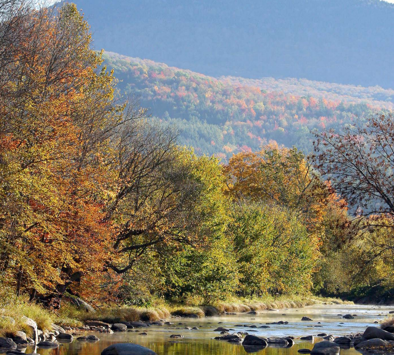 Thumbnail for 2017 Vermont Forest Action Plan