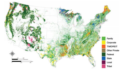 Thumbnail for One Size Does Not Fit All: Relationships between Size of Family Forest Holdings and Owner Attitudes and Behaviors