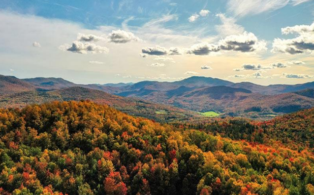 Thumbnail for Cold Hollow Carbon: A Vermont Forest Carbon Cooperative for Climate Change Mitigation