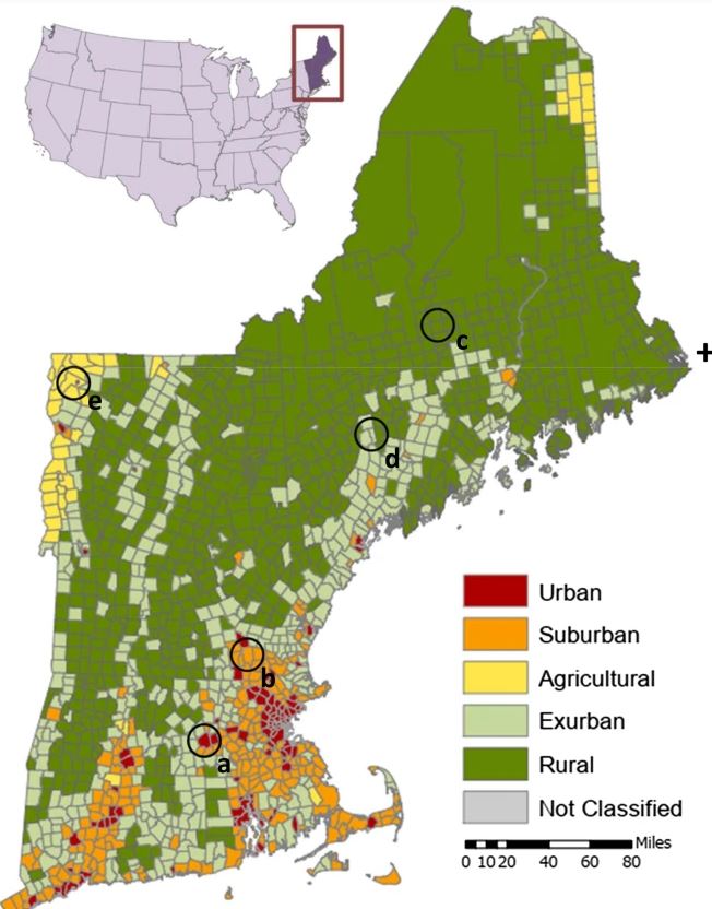 Thumbnail for Using landscape metrics to characterize towns along an urban-rural gradient