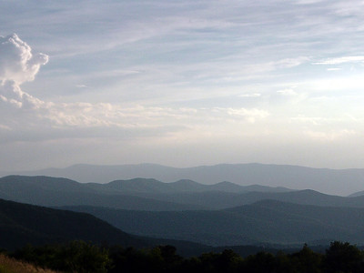 Thumbnail for Threshold responses of songbirds to forest loss and fragmentation across the Marcellus-Utica shale gas region of central Appalachia, USA