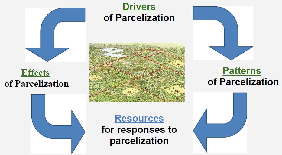 Thumbnail for Forestland Parcelization