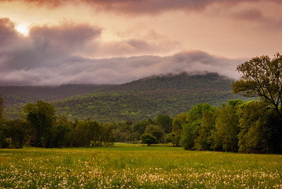 Thumbnail for Adding Value and Conserving Community Forests: The Case of Certification in Vermont, USA