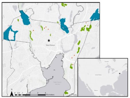 Thumbnail for Forest Patch Size Predicts Seed Bank Composition in Urban Areas