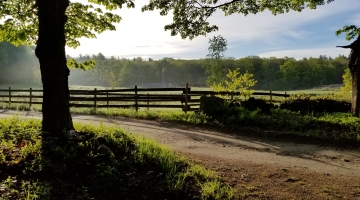 Thumbnail for Meeting the Conservation Challenge in New England