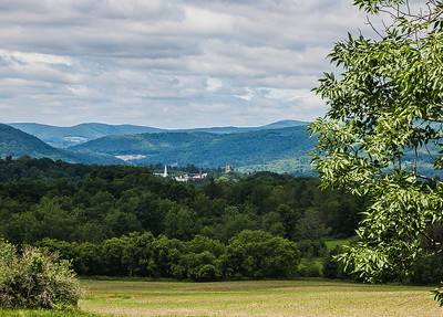 Thumbnail for Of Vert and Vision Ensuring the Legacy of the Northern Forest of New England and New York