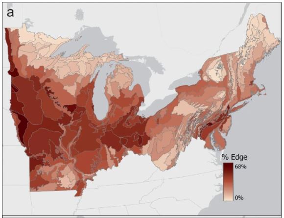 Thumbnail for Elevated Growth and Biomass Along Temperate Forest Edges