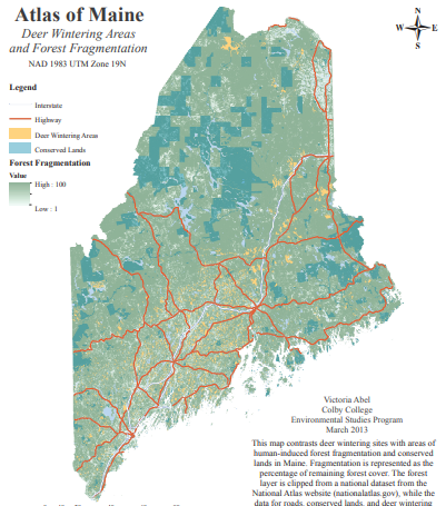 Thumbnail for Deer Wintering Areas and Forest Fragmentation