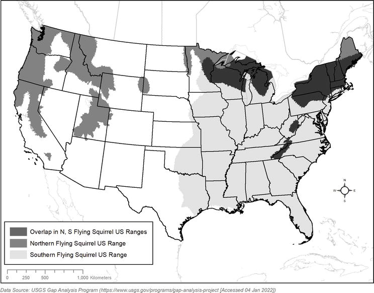 Thumbnail for The Potential Role of Nematode Parasites in Wildlife Decline: Evidence from Allegheny Woodrats (Neotoma magister), Northern Flying Squirrels (Glaucomys sabrinus) and Now the Eurasian Red Squirrel (Sciurus vulgaris)