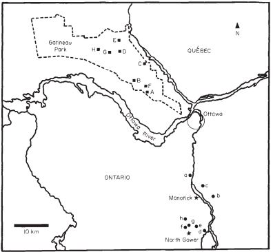 Thumbnail for The effects of forest fragmentation on genetic variation in Acer saccharum Marsh. (sugar maple) populations