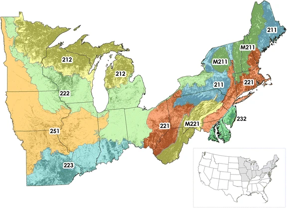 Thumbnail for Vulnerability of forests of the Midwest and Northeast United States to climate change